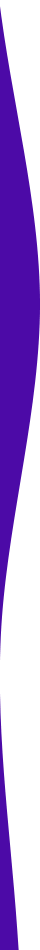 https://bruisersdogs.com/wp-content/uploads/2021/03/purple-detail-left.png